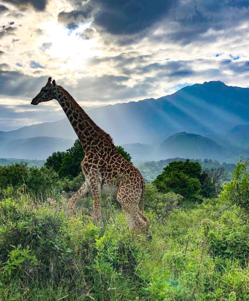 in-Arusha-National-Park Arusha National Park